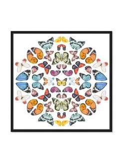 Oliver Gal 'Butterflies In Color' Framed Canvas Art