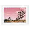 Oliver Gal 'Joshua Tree Pink Desert' Framed Art Print