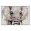 Oliver Gal Abstract Elephants Framed Art