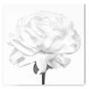 Oliver Gal Blooming Flower Blanc Canvas Art