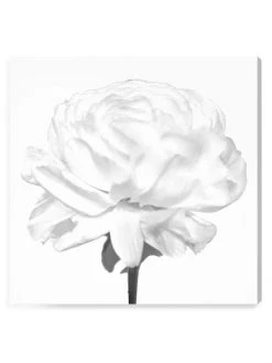 Oliver Gal Blooming Flower Blanc Canvas Art