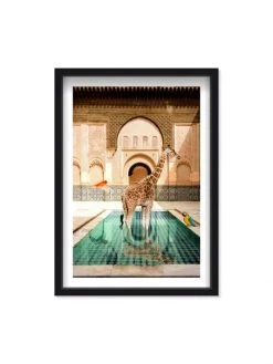 Oliver Gal 'Animal Bath' Shadowbox-Framed Art Print