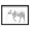 Oliver Gal 'Elephant Blanc' Shadowbox-Framed Art Print